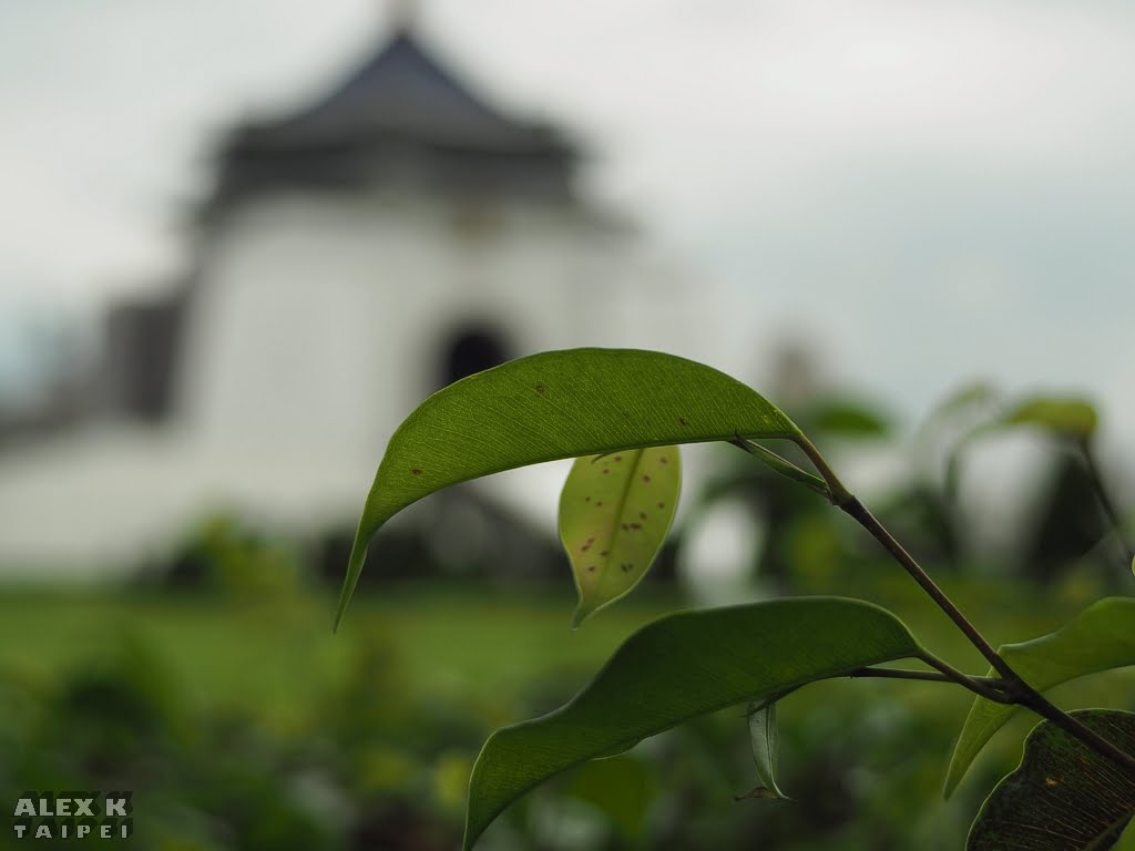 20150605_018