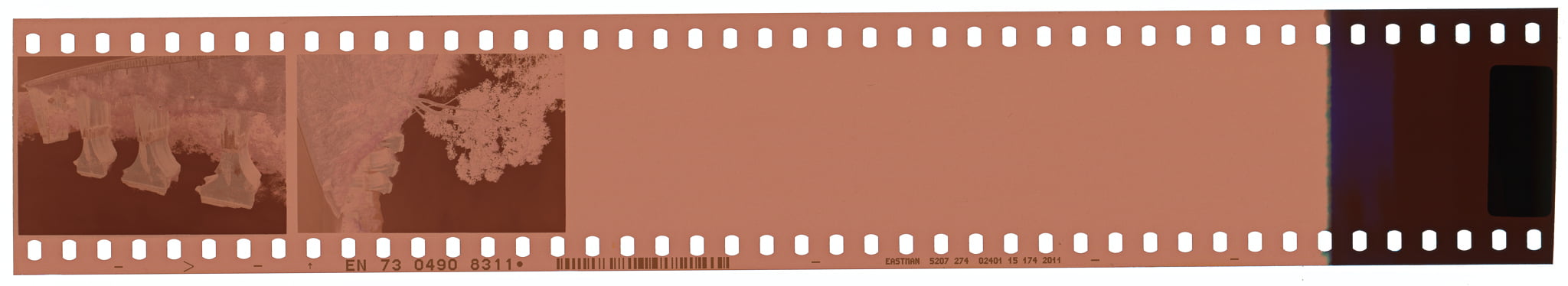 Strip of color negative film.