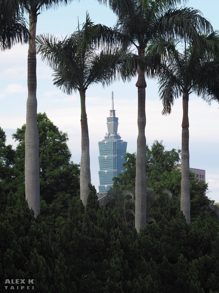 Taipei 101 between palm trees